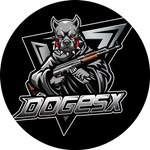 Doge SpaceX